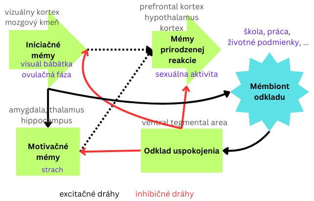 Obrázok 4b.Domestikačný transfer reakcie